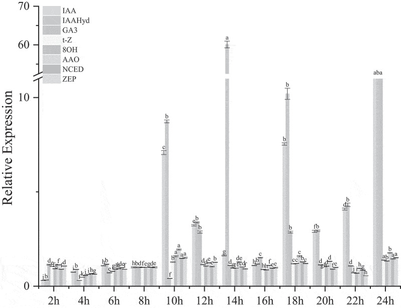 Figure 2