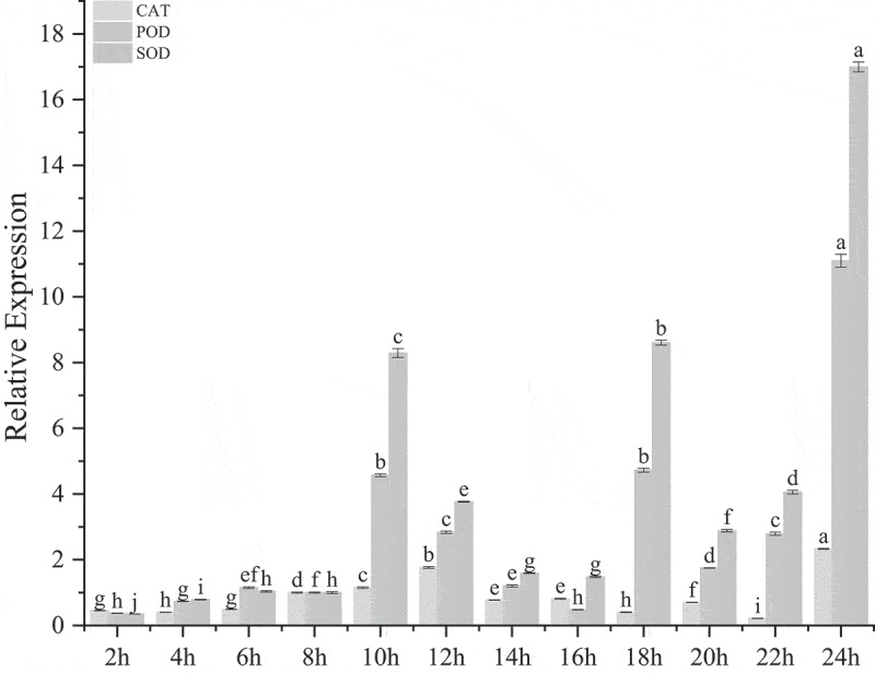 Figure 4