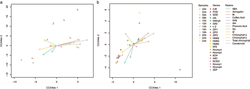 Figure 7