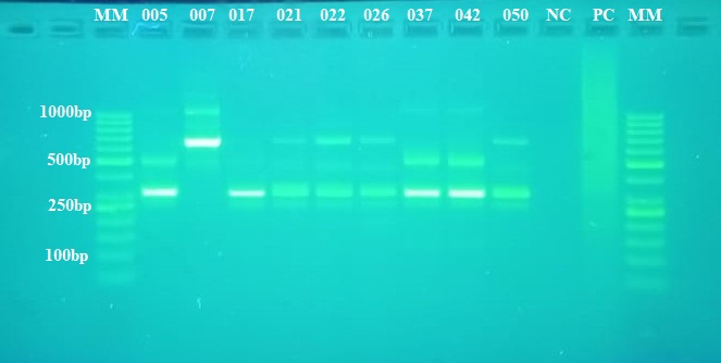 Figure 5