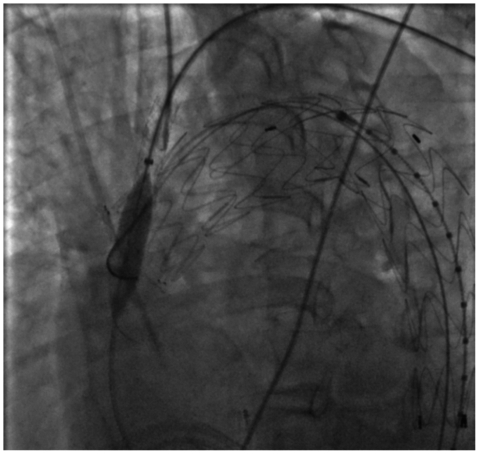 Figure 6