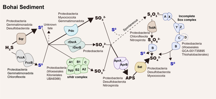 Fig 7