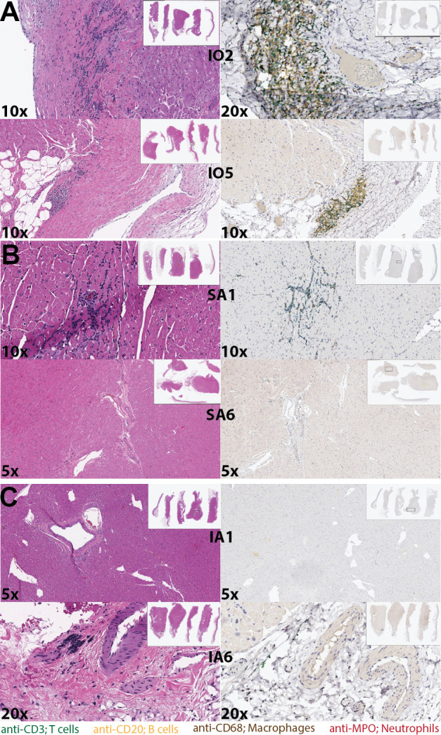 Fig 7