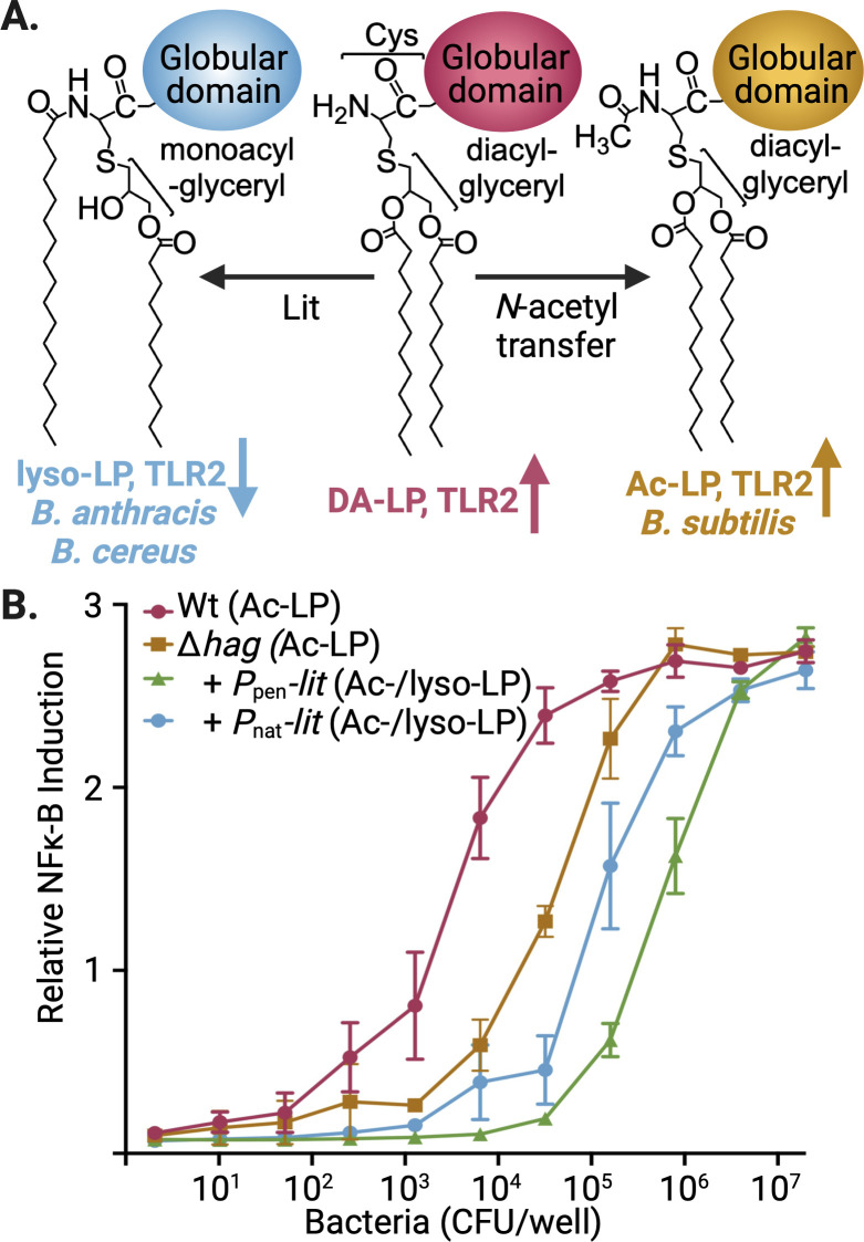 Fig 1