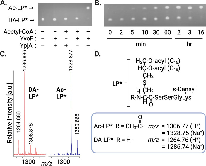 Fig 3