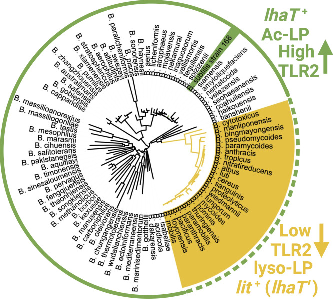 Fig 6