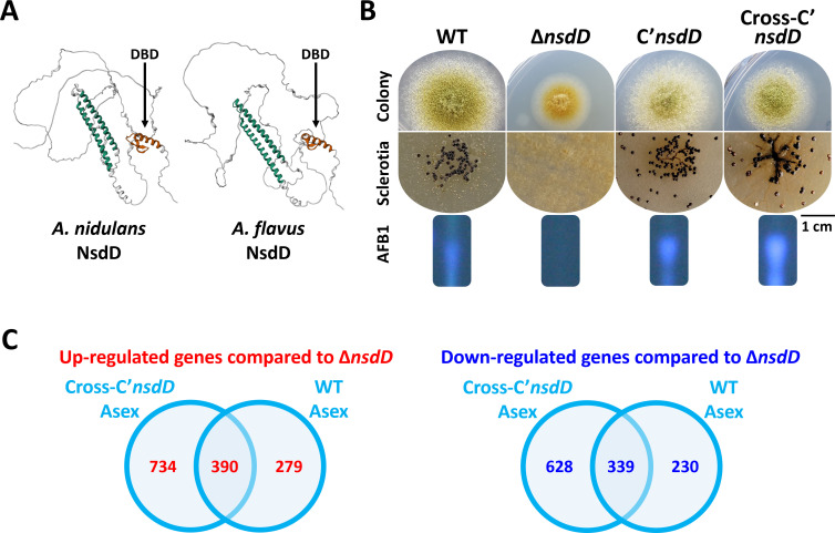 Fig 3