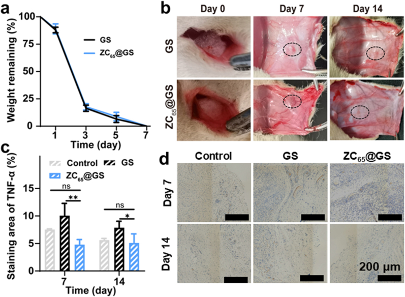 Figure 8