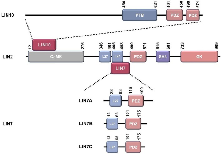 FIGURE 2
