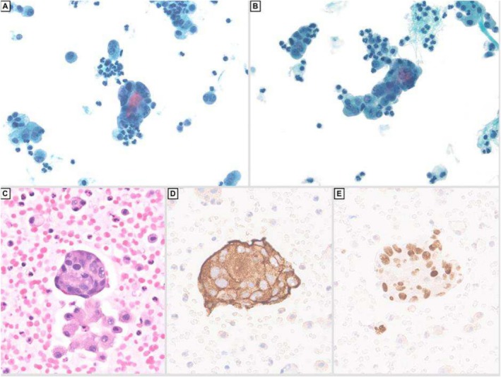 FIGURE 3