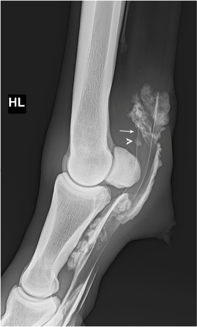 Figure 2