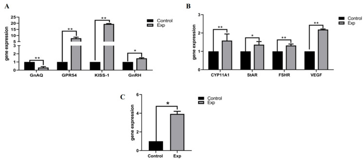 Figure 5