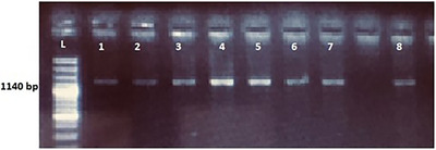 FIGURE 2