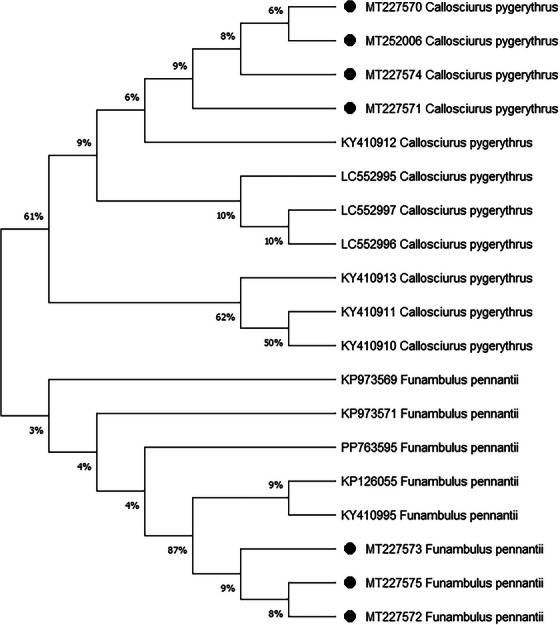 FIGURE 3