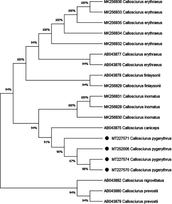 FIGURE 5