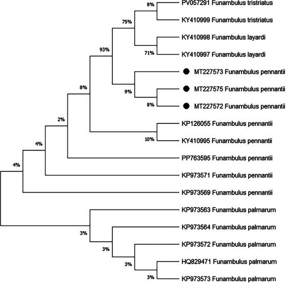FIGURE 4