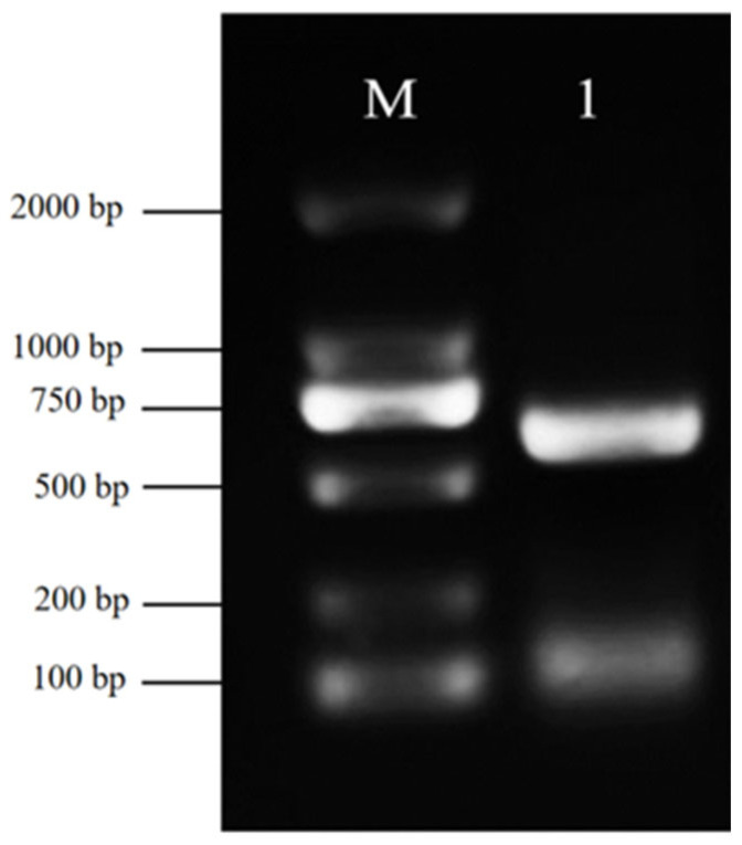 Figure 14