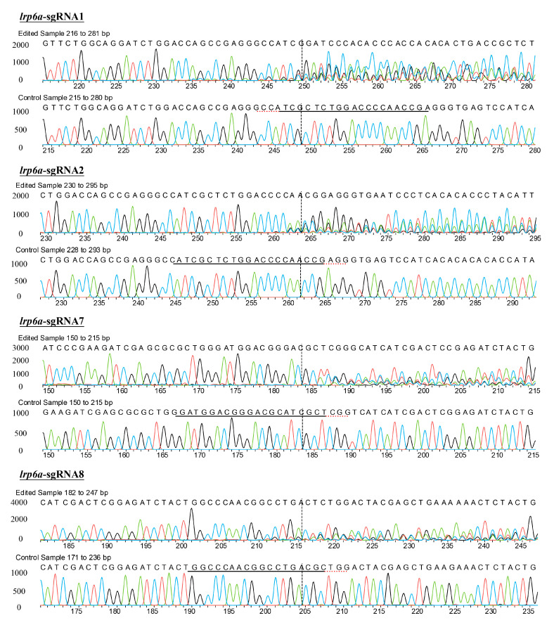 Figure 6