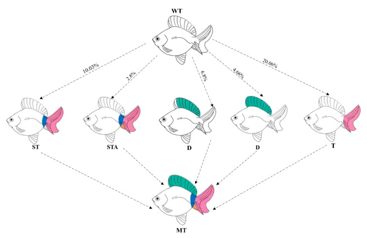 Figure 11