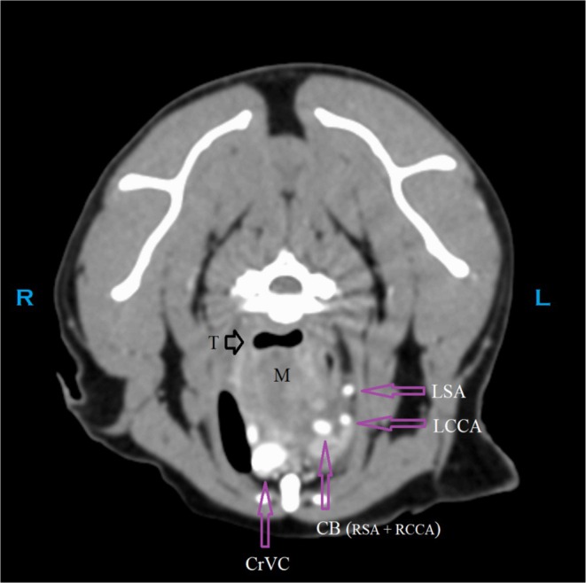 FIGURE 2
