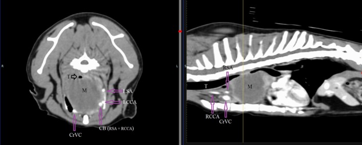 FIGURE 1