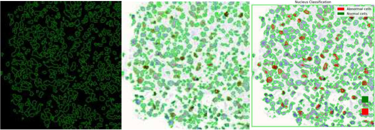 Figure 13