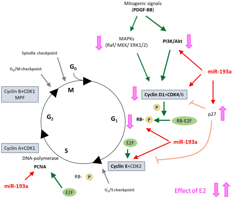 Figure 17