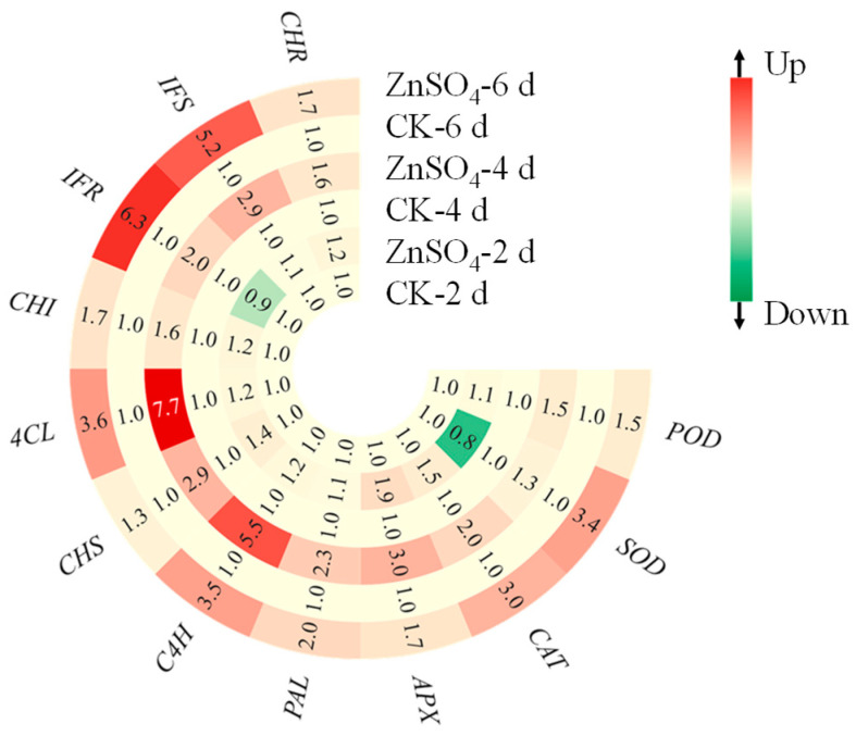 Figure 6