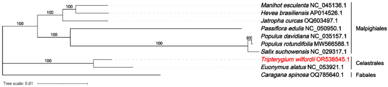 Figure 5