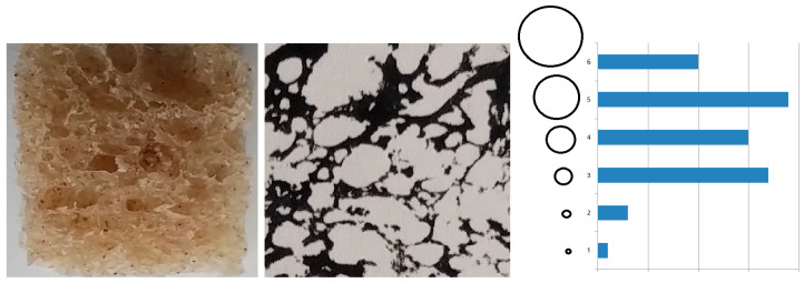 Figure 8