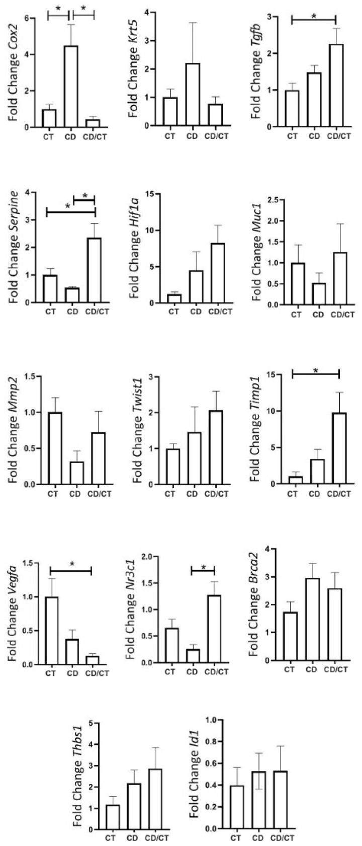 Figure 11