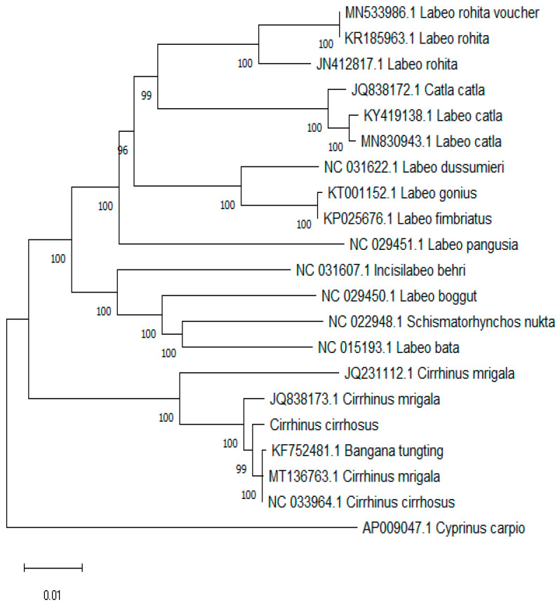 Figure 7