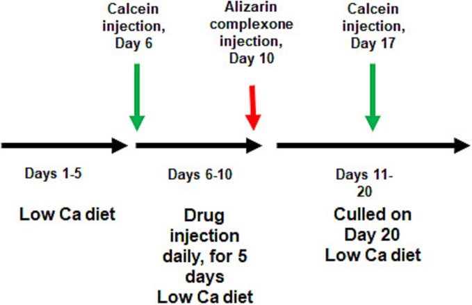 Figure 14