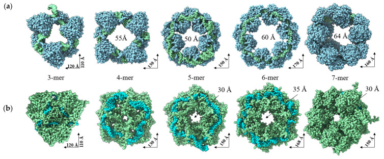 Figure 7