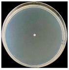 Figure 16
