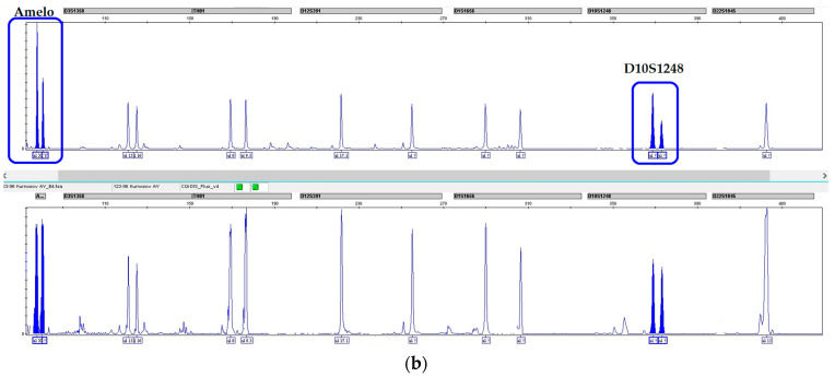 Figure 10