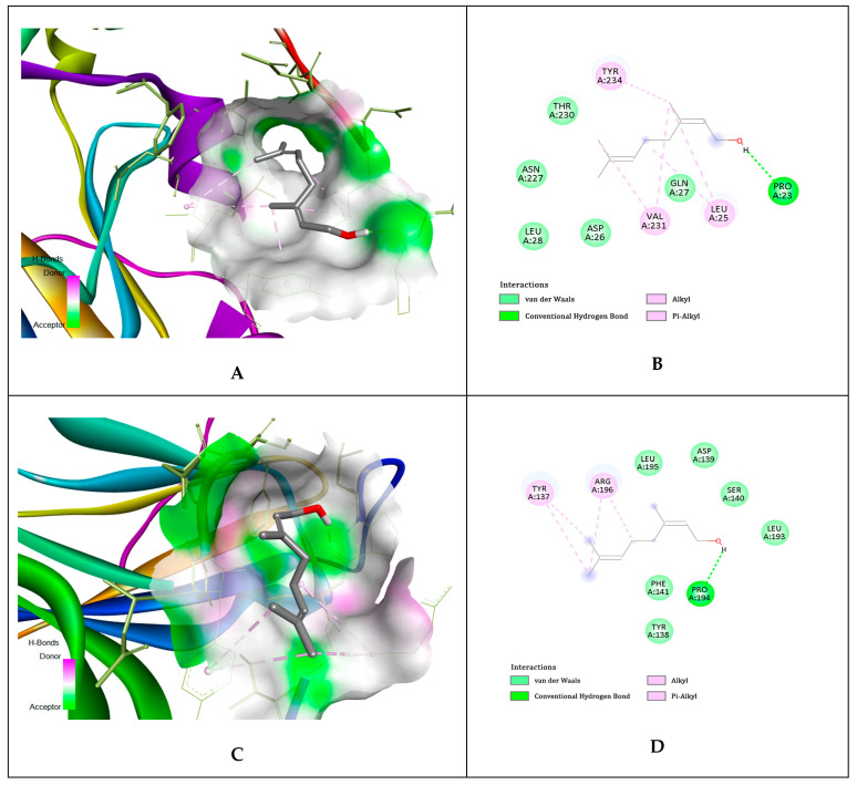 Figure 10