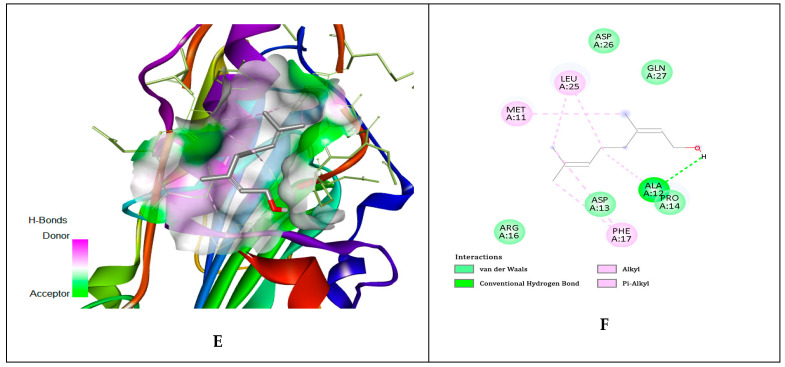 Figure 11
