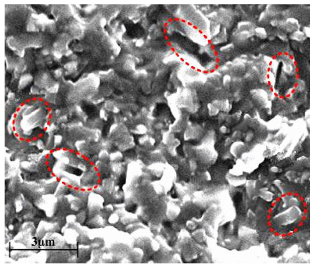 Figure 12