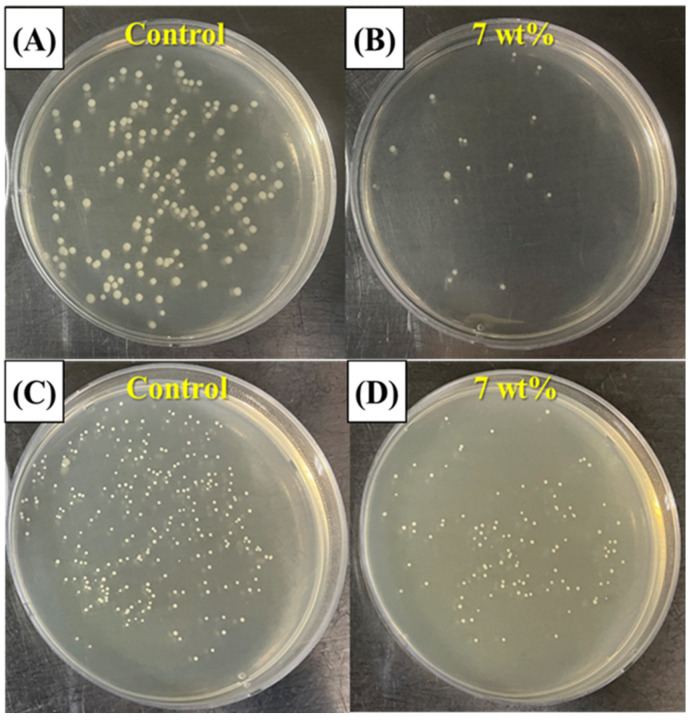 Figure 11