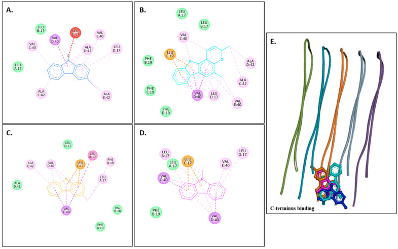 Figure 5