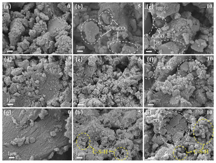 Figure 19