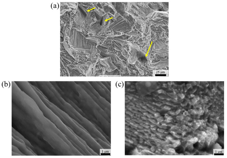 Figure 9