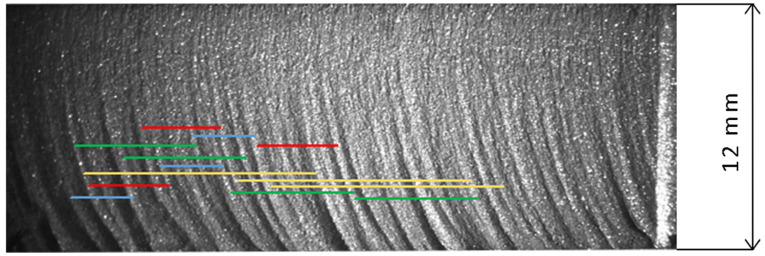 Figure 17