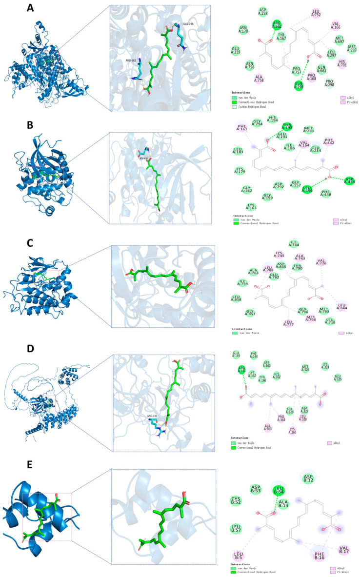 Figure 11
