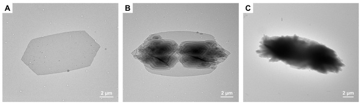 Figure 6
