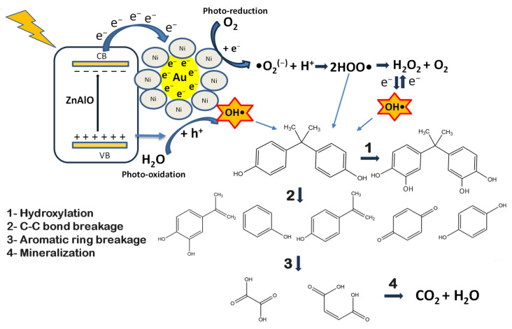 Figure 12