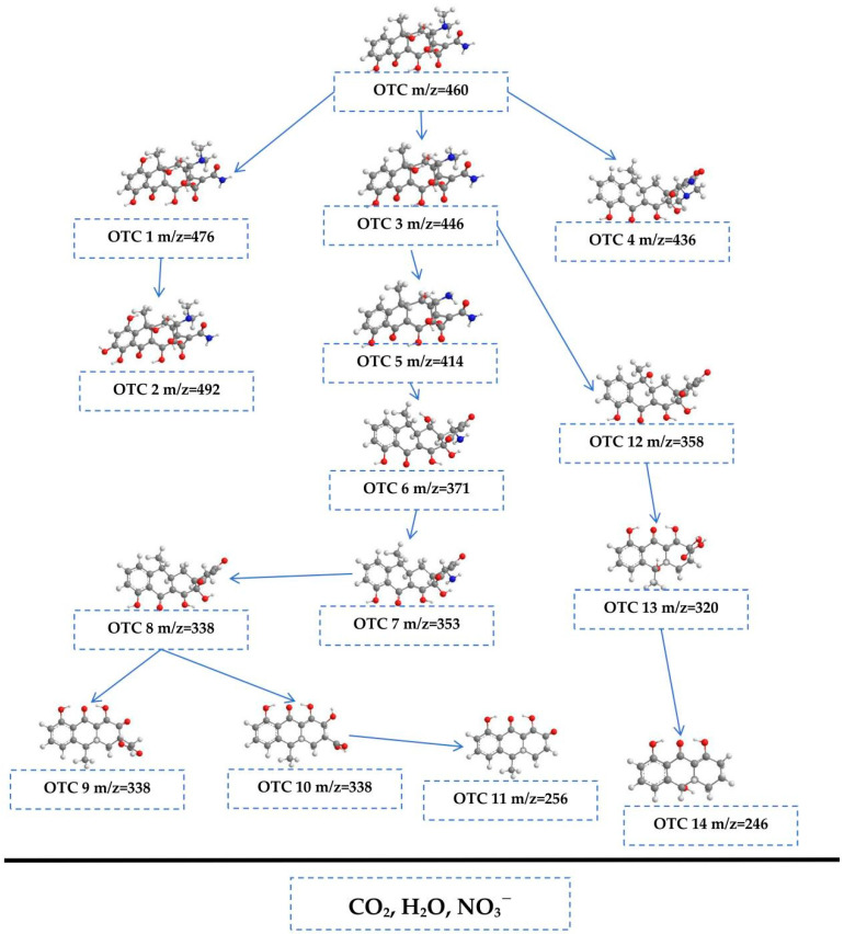 Figure 10