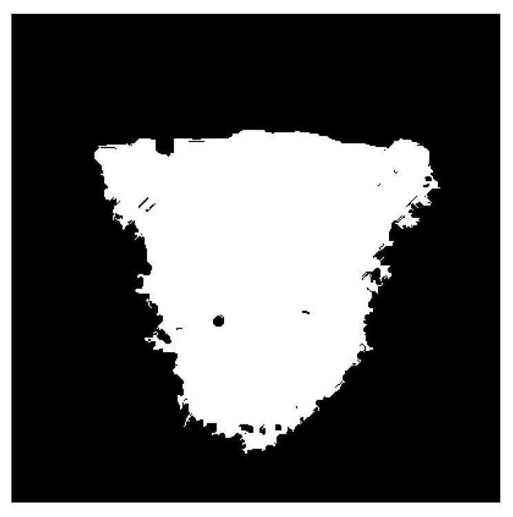 Figure 9
