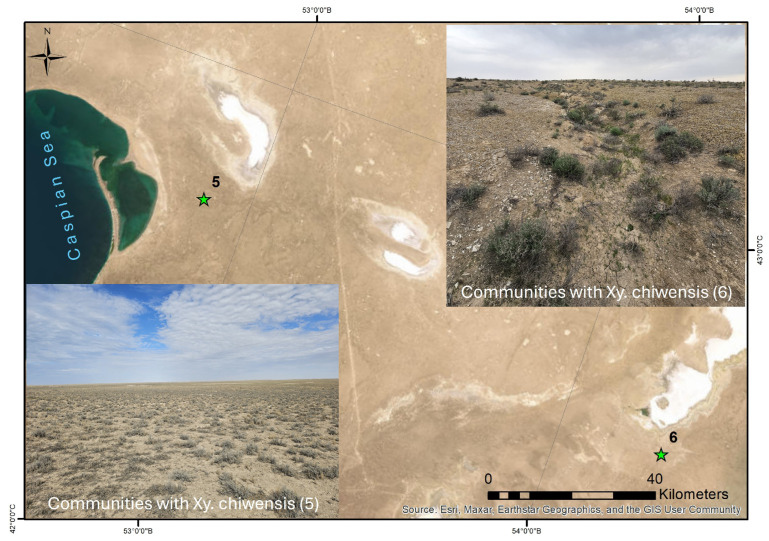 Figure 6